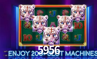 5956: A Experiência de Casino com Jogos de Mesa ao Vivo